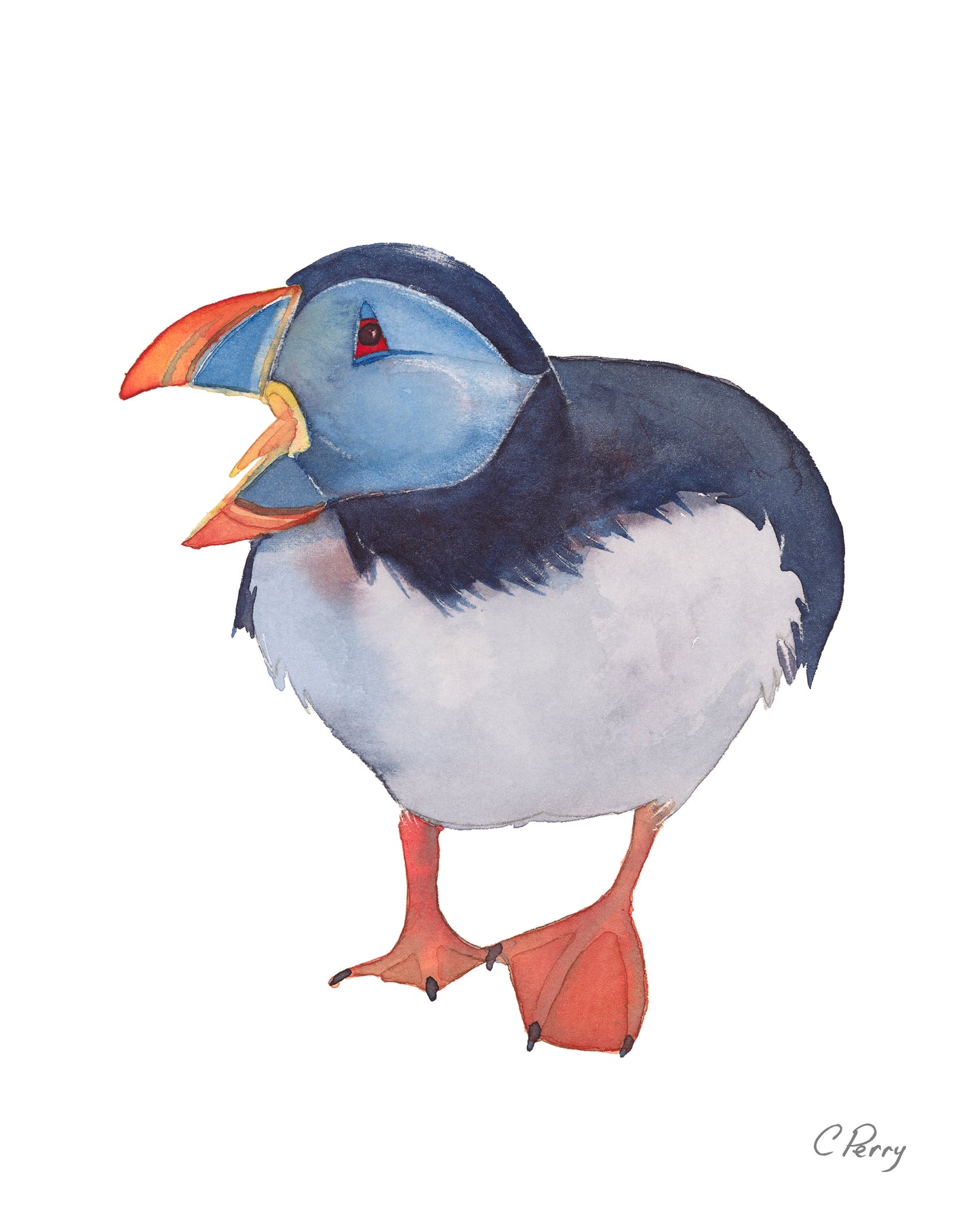 “Squaking Puffin”