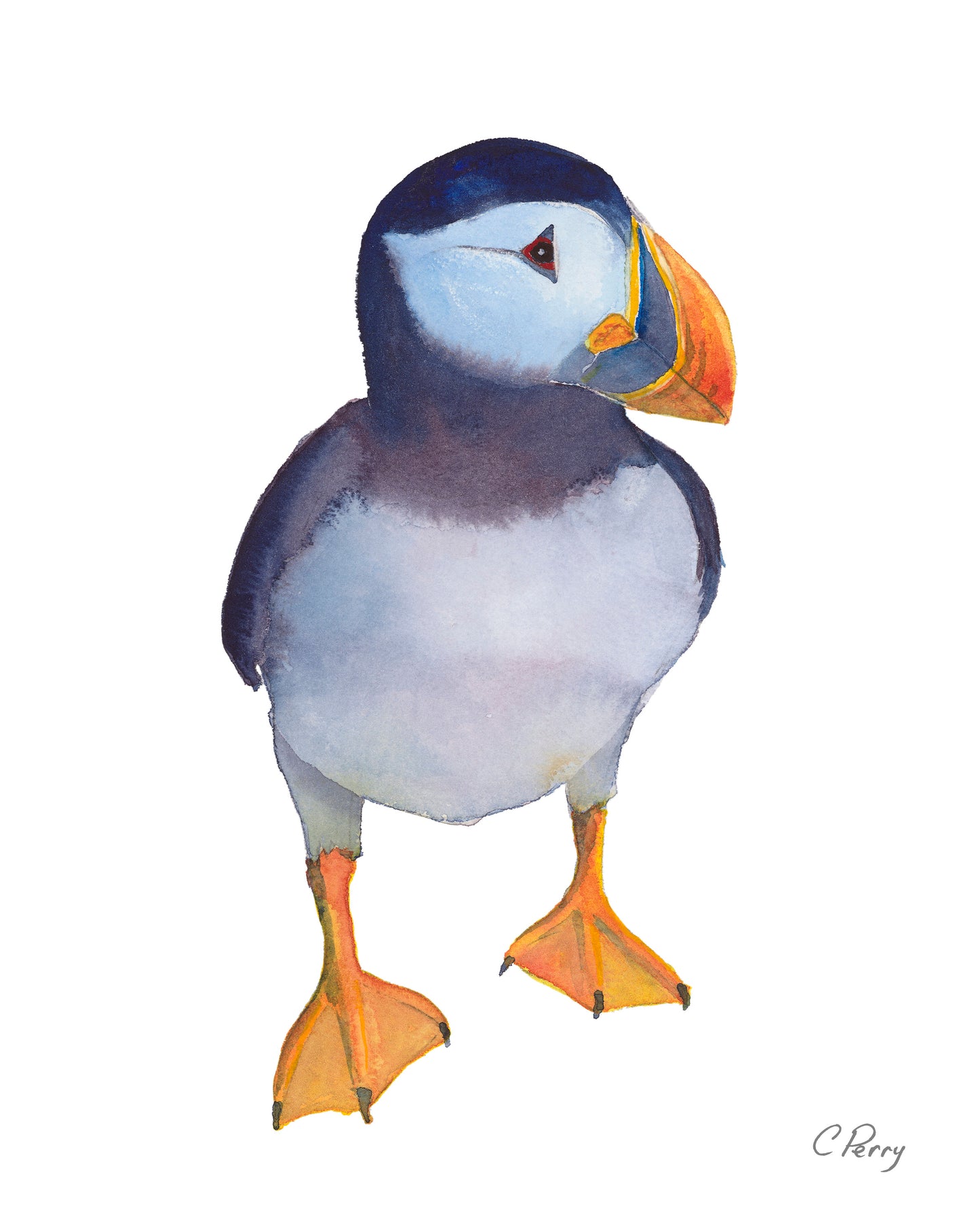 “Proud As A Puffin”  Single Puffin Watercolour Print